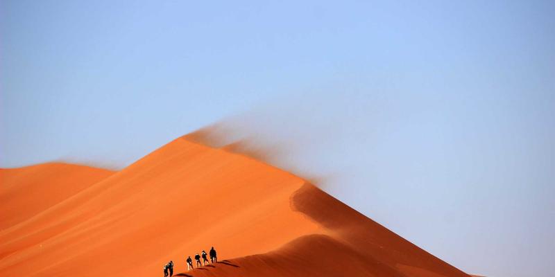 卡萨阿尔帕科13:隐匿于自然中的理想度假居所与住宿预订全指南