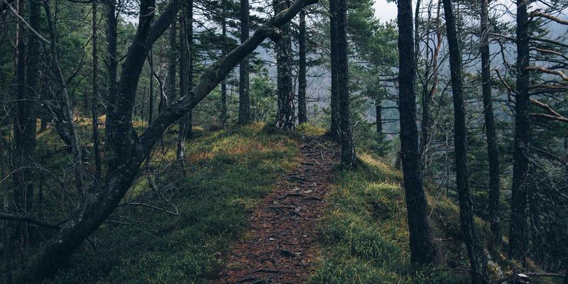 卡萨阿尔帕科35:当奢华度假邂逅赛博朋克幻境