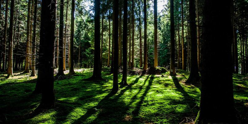 卡萨阿尔帕科36：隐秘于山间的奢华度假圣殿，重新定义极致休憩体验