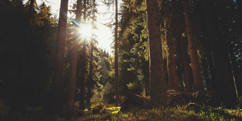 卡萨阿尔帕科42：赛博朋克美学与极致度假体验的融合