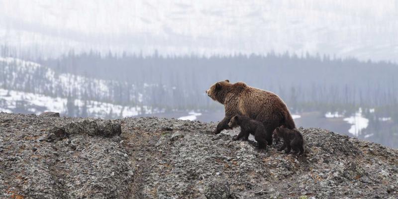 卡萨阿尔帕科96：赛博朋克美学与奢华度假的终极融合