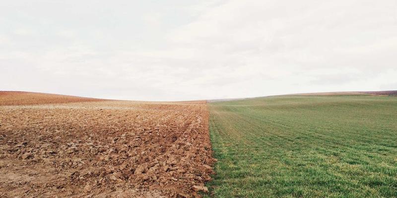 卡萨阿尔帕科：一座赛博朋克美学与自然秘境交融的未来主义度假天堂
