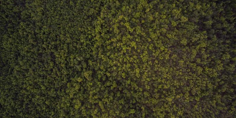 卡萨阿尔帕科：从赛博朋克奢华度假酒店出发，探索隐秘徒步路线与自然奇观