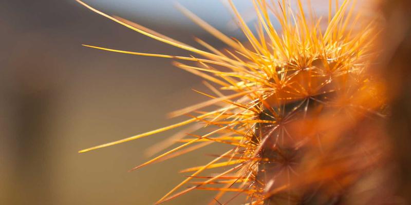 卡萨阿尔帕科周边探险全攻略：从盐湖骑行到火山徒步的奢华住宿与活动配套