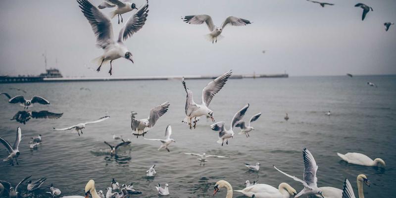 卡萨阿尔帕科建筑年鉴：揭秘奢华度假背后的材料、光影与空间叙事艺术