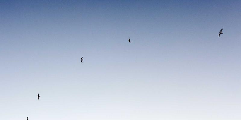 在卡萨阿尔帕科策划企业高管静修会：超越常规的战略会议与住宿预订指南