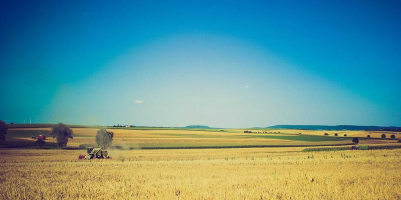 奢华度假新地标：探秘卡萨阿尔帕科葡萄酒图书馆的稀有年份品鉴与大师班